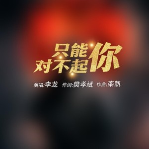 李龍的專輯只能對不起你