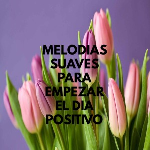 อัลบัม Meditación para empezar el día positivo ศิลปิน To Relaxing