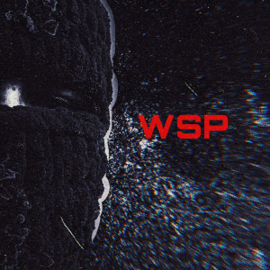 Album WSP from 