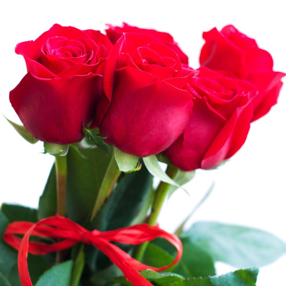 Every Rose Has It's Thorn (其他)