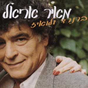 อัลบัม Bernard & Louise ศิลปิน Meir Ariel