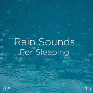 Dengarkan Suara Hujan Untuk Tidur lagu dari Rain Sounds dengan lirik