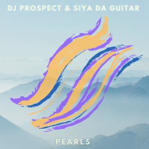 Listen to Monkey Dance song with lyrics from DJ Prospect