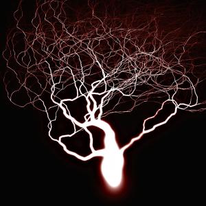 Dengarkan Blanket lagu dari Teardrop dengan lirik