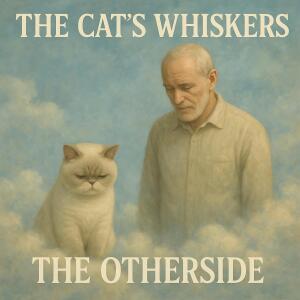 ดาวน์โหลดและฟังเพลง The Otherside พร้อมเนื้อเพลงจาก The Cat's Whiskers