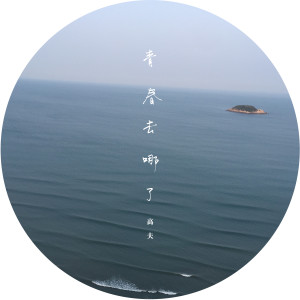 Album 青春去哪了 from 高夫