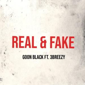 3Breezy的專輯Real & Fake (feat. 3Breezy) (Explicit)