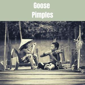 Listen to Goose Pimples song with lyrics from Bix Beiderbecke & His Gang