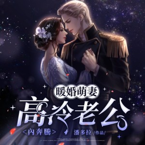 Album 暖婚萌妻：高冷老公内奔腾 oleh 追光小队