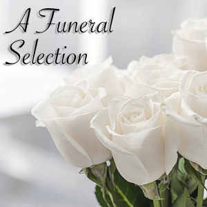 Listen to You'll Never Walk Alone song with lyrics from Sinatra, Frank