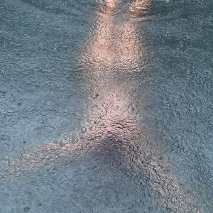 Listen to Passion (Slowed) song with lyrics from Poity