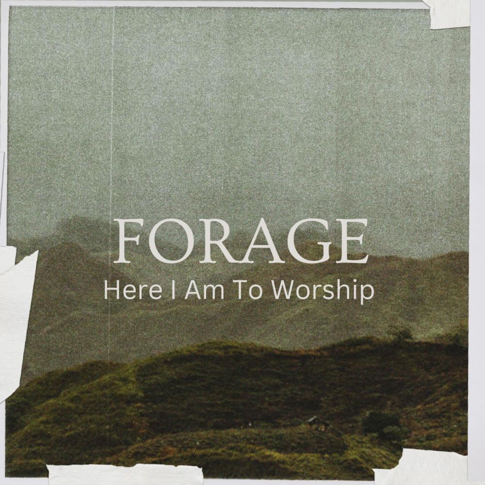 Here I Am To Worship pop/punk (feat. Gant)