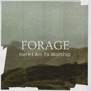 收聽Forage的Here I Am To Worship pop/punk (feat. Gant)歌詞歌曲