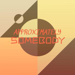 Various Artists的專輯Approximately Somebody