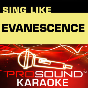收聽ProSound Karaoke Band的Bring Me To Life (Karaoke Instrumental Track) [In the Style of Evanescence]歌詞歌曲