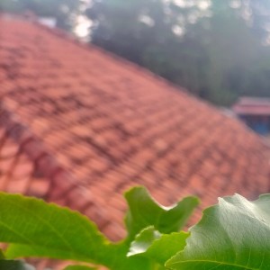 Album Percuma from 