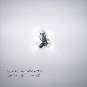 Daniele Brusaschetto的專輯Rapida e Indolore