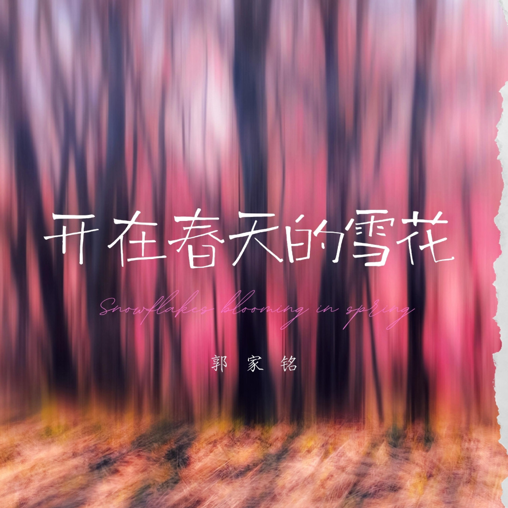 开在春天的雪花