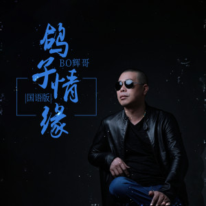 Listen to 鸽子情缘 (国语版伴奏) song with lyrics from 辉哥
