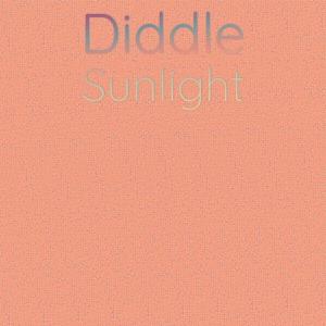 อัลบัม Diddle Sunlight ศิลปิน Various