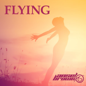 ดาวน์โหลดและฟังเพลง Flying พร้อมเนื้อเพลงจาก Ansel Brown