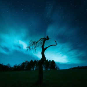 Album Strange Interlude from Arcanyz