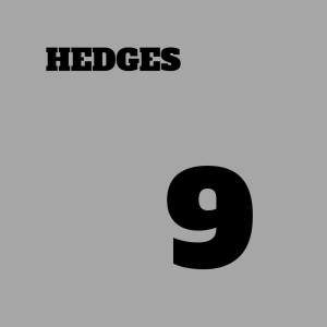 Hedges的专辑Grey and 9