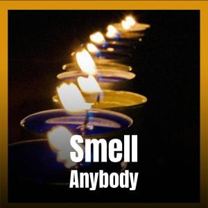 Various Artists的專輯Smell Anybody