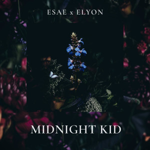 Listen to The Villains in My Stories Think They're Heroes song with lyrics from Esae