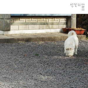 Album 녘 from 