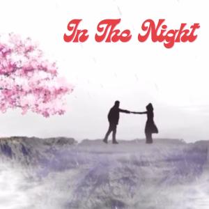 收聽Preston Tran的In The Night歌詞歌曲