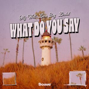 ดาวน์โหลดและฟังเพลง What Do You Say พร้อมเนื้อเพลงจาก Olly Wall
