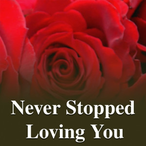 Listen to Never Take It Away (完整版) song with lyrics from The Redwoods