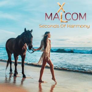 Dengarkan A Single Voice (纯音乐) lagu dari Malcom XL dengan lirik