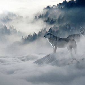 ดาวน์โหลดและฟังเพลง Endless Water พร้อมเนื้อเพลงจาก Yoga Music