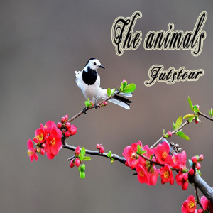 Listen to The Animals song with lyrics from Jutstear