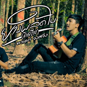 ดาวน์โหลดและฟังเพลง ตาเอก วงสวิง พร้อมเนื้อเพลงจาก ตาเอก วงสวิง