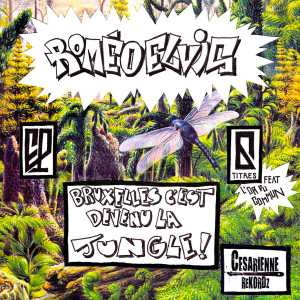 Listen to Schaerabeek (feat. Loxley) (Explicit) song with lyrics from Roméo Elvis
