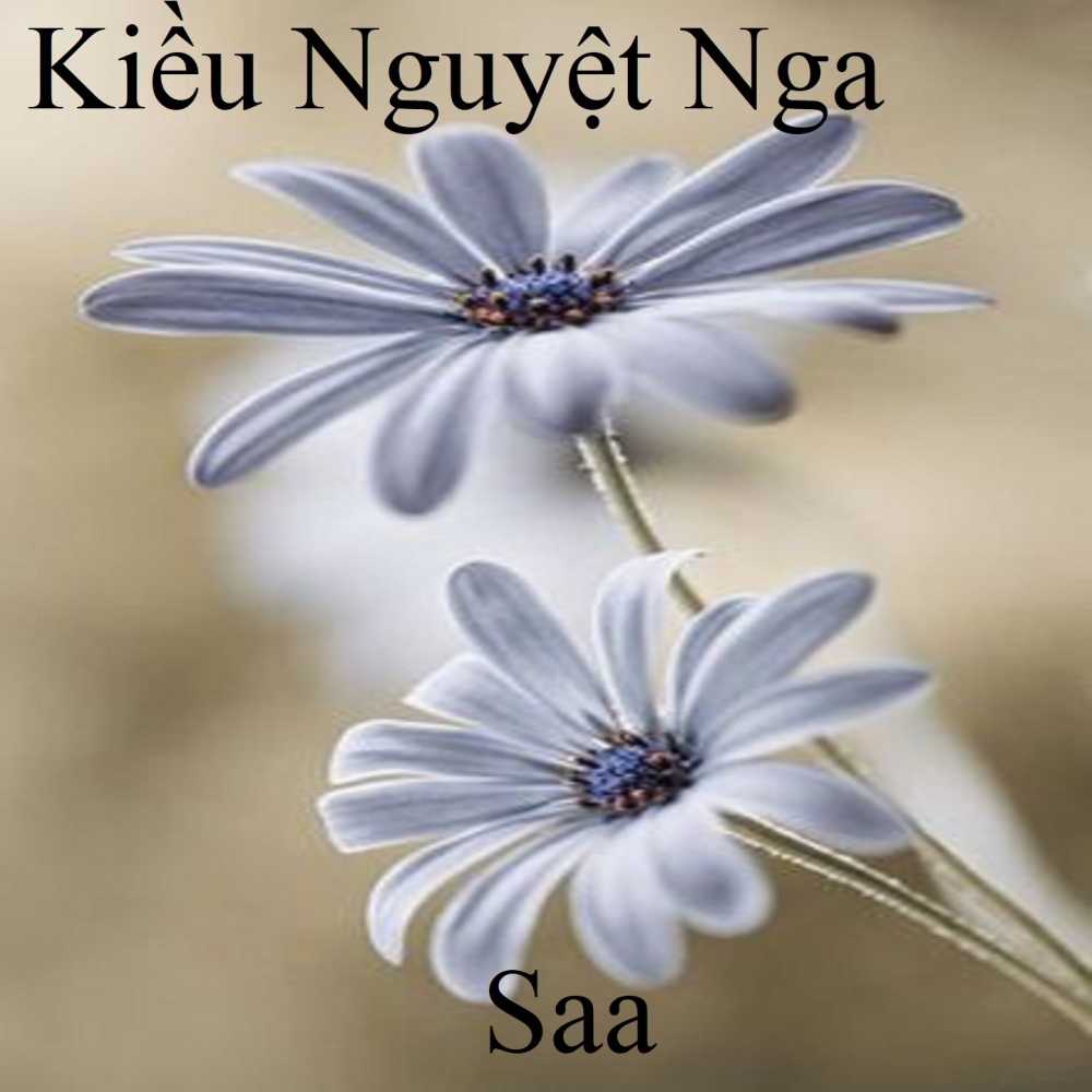 Kiều Nguyệt Nga 2