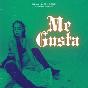 Daya La Del Bobo的專輯Me Gusta (Explicit)