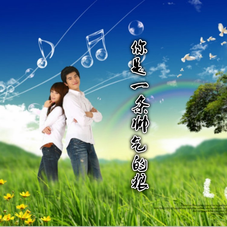 你是一条帅气的狼 (伴奏)