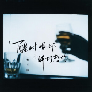 Album 醒时恨你醉时想你 from 安儿陈