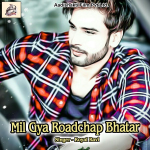 Royal Ravi的专辑Mil Gya Roadchap Bhatar