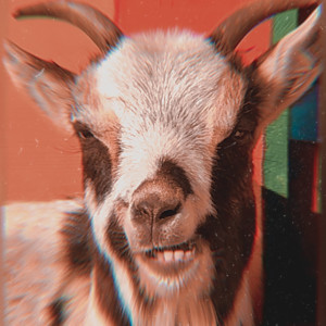 Album Goatanho from Eustakio