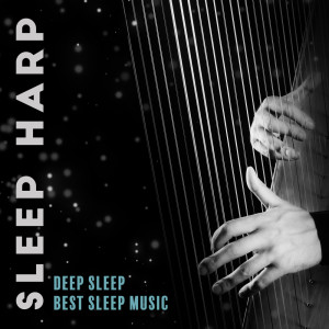 收聽Deep Sleep Maestro的Relaxation Therapy歌詞歌曲