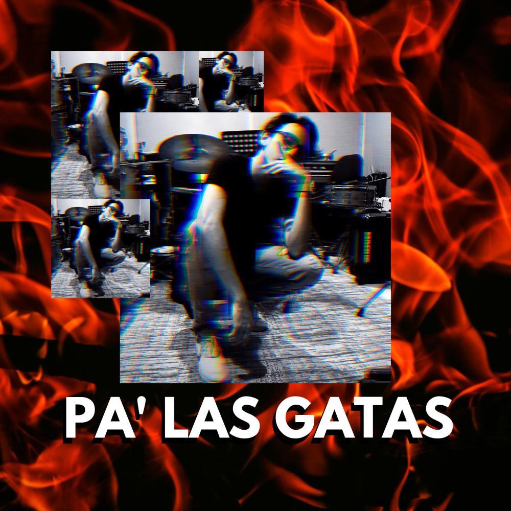 Pa' Las Gatas(VIP)