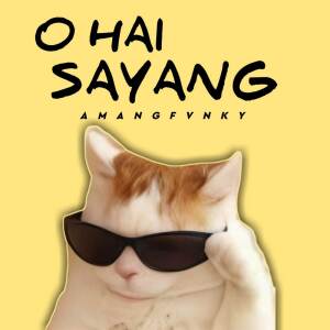 Amang Fvnky的專輯O Hai Sayang (Remix)