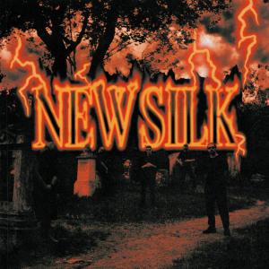 Dengarkan lagu Was ich will nyanyian SILK MOB dengan lirik