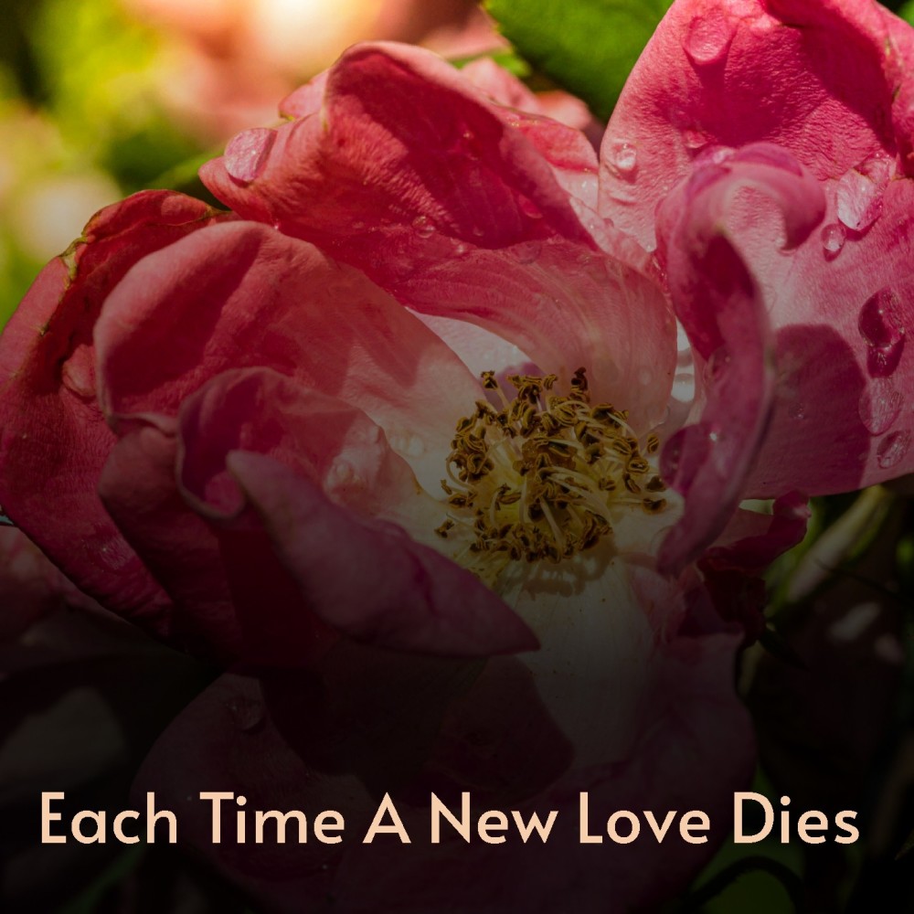 Each Time a New Love Dies