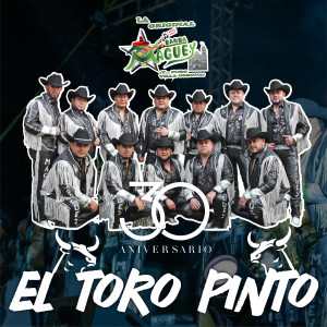 收聽Banda Maguey的El Toro Pinto歌詞歌曲